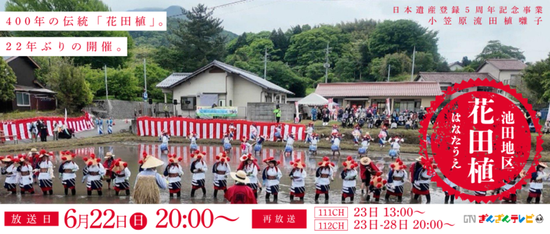 池田地区花田植えお知らせ